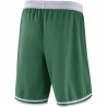 Short Icon Edition Boston Celtics